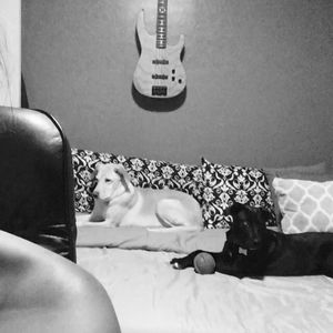 Meet your Posher, Marisa